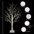 AOLTNRC 2 Pack 144 2FT Lighted Trees for Indoor Decor with Timer, LED White Light up Birch Tree Tabletop Lamp