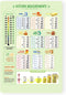 Kitchen Conversion Chart Magnet, Metric Measurement Guide for Cooking, Baking, and Cookbook Accessories