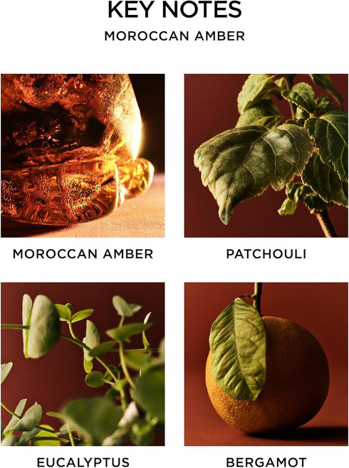 NEST New York Moroccan Amber Scented Votive Candle - 2 oz - Up to 28-Hour Burn Time - Reusable Glass Vessel