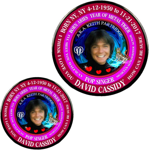 David Cassidy 70's Singer Cup + Magnet + Pin, Astrology Aries Zodiac Metal Tiger
