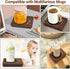 CEROBEAR Coffee Mug Warmer for Desk, 3 Temperature Control, Auto Shut Off for Coffee, Milk, Tea, Beverage