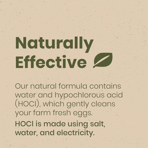 32 Clean Republic Good Salt Pet Fresh Nest Egg Wash Spray, Natural Cleaner for Freshly Laid Eggs, Made in the USA