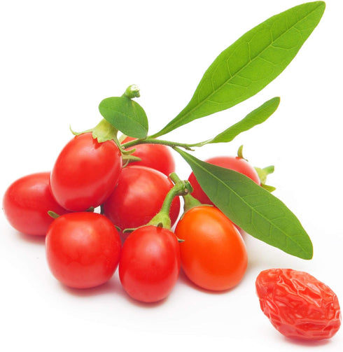Tibetan Goji Berry 100 Seeds (Lycium chinense) Heirloom - Non GMO -