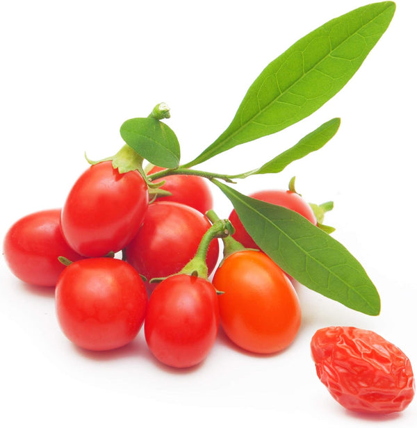 Tibetan Goji Berry 100 Seeds (Lycium chinense) Heirloom - Non GMO -