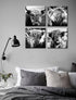 DJSYLIFE Highland Cow Wall Art - Black and White Cow Pictures, Modern Rustic Decor for Bedroom or Office