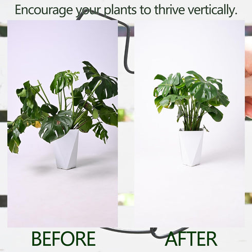 5PCS 9x7.6in Yohsnor Black Monstera Plant Stem Support - Adjustable & Durable Indoor Plant Stake for Cactus