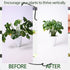 5PCS 9x7.6in Yohsnor Black Monstera Plant Stem Support - Adjustable & Durable Indoor Plant Stake for Cactus