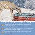 3PCS 500 9.8 Watt Bird Bath De-Icer with Thermostat, Cast Aluminum Submersible Chicken Water Heater, Heated Bird Bath