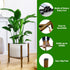 8 9 10 11 12 inch Airpark Adjustable Plant Stand Indoor, Metal Mid Century Modern Plants Stands, Stable Plant Holder