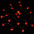 AOSTAR Valentine Lights Heart Shaped String Lights for Mother's and Father's Day, Wedding, Proposal, Birthday