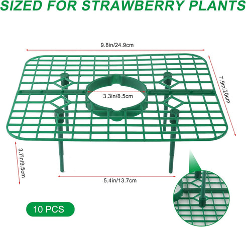 10 Pack Strawberry Plant Supports, Square Frames Keep Strawberries Off Ground, Reusable Strawberry Plant Stands