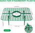 10 Pack Strawberry Plant Supports, Square Frames Keep Strawberries Off Ground, Reusable Strawberry Plant Stands