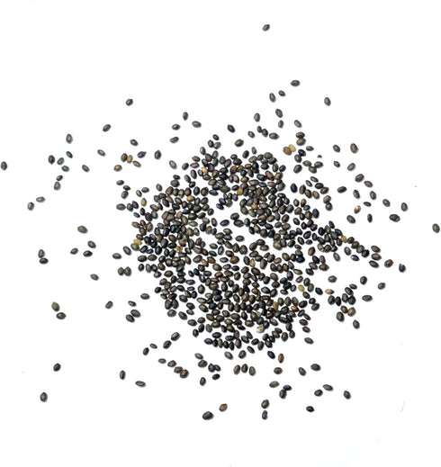 Summer (1 Pack) Seed Needs Savory Seeds for Planting Herbs - Non-GMO Heirloom & Untreated Annual Herb Seed to Plant a