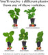 (4 Pack) Fig Tree Collection Edible Fruit Plant from Our Optimal Picks | Easy to Grow Plants for Sustainable Living |