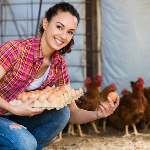 20 30-Cell 30 Flats Egg Crate?Holds Eggs?, Cardboard Egg Cartons, Sturdy and Stackable Egg Flats, Perfect Egg Crates
