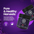 14+ 100% (16oz) Lotus Nutrients Bloom Pro Series, Water Soluble Hydroponic Plant Food for Flowering and Fruiting