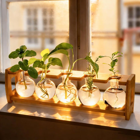 2 Pack 8 Bulbs Pumtus Propagation Stations with Bamboo Stand, Desktop Water Plant Terrarium Vase, Retro Plant
