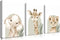 Nursery Wall Decor Set of 3, Cute Animal Lion Elephant Baby Pictures