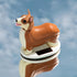 Kikkerland Solar Powered Corgi Dog Figurine: Fun Animal Decor for Home, Office, Garden, Car, Great Novelty Toy