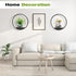 3 Pack Round Picture Frame Wall Plant Holder Black Wall Hanging Planters Metal Window Plants Shelf Plant for Indoor