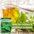 (1) Sow Right Seeds - Stinging Nettle Seeds for Planting - Urtica Dioica - Non-GMO Heirloom Variety - Herb