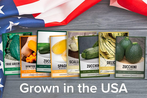 8 Packets Gardeners Basics, Squash Seeds for Planting Individual - Zucchini, Delicata, Butternut, Spaghetti, Scallop