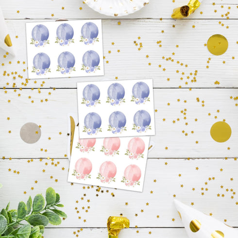 48 Gender Reveal Party Games, Rose Theme Baby Gender Reveal Voting Board Sign, Boy Girl Voting Stickers, He or She