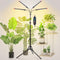 4Head Grow Light with Stand, Grow Lights for Indoor Tall Plants, Bonsai