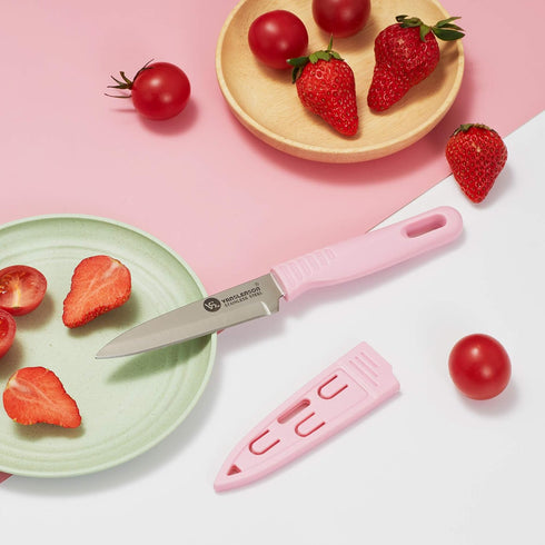 4 Pieces Kitchen Knife Set, Stainless Steel Blade Paring Knife for Fruit and Vegetable with Matching Covers, Colorful
