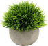 Ogrmar 4PCS Mini Plastic Artificial Plants in Pot - Small Faux Greenery for Bathroom & House Decorations
