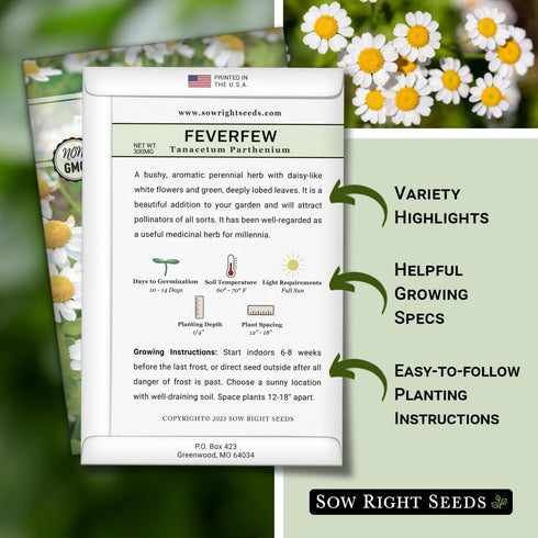 Packet (1) Sow Right Seeds - Feverfew Seeds for Planting - Non-GMO Heirloom with Instructions to Plant an Outdoor