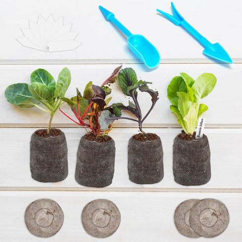 ZeeDix 100 Pcs 30mm Peat Pellets Seed Starter Soil Pods for Vegetable Seedling with 100 Labels & 2 Tools
