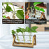 3 Bulb Kingbuy Desktop Glass Planter Iron and Wooden Stand Plant Terrariums for Indoor Office Desk Decor Accessories