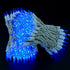 YULETIME 200 Blue LED Christmas Lights with White Wire, Pack of 2 Strands, 33 Feet 100 Lights