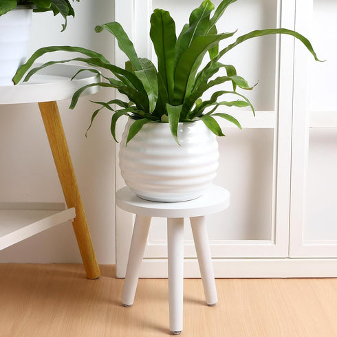 White Wooden Plant Stand Stool: Mid Century Modern Small Round Side Table, Heavy Duty Flower Pot Stand Holder
