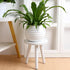 White Wooden Plant Stand Stool: Mid Century Modern Small Round Side Table, Heavy Duty Flower Pot Stand Holder