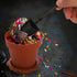 50 Pack 6.7 oz ZEAYEA Dessert Cups With Lids and Spoons, Plastic Parfait Appetizer Cups, Cute Mini Flowerpot for Ice