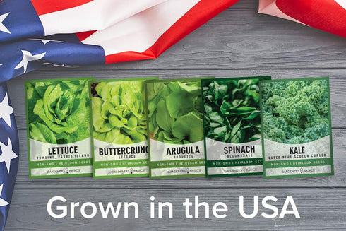 Pack 5 Gardeners Basics Lettuce and Greens Heirloom Vegetable Seed Non-GMO Seeds for Planting Indoors and Outdoor