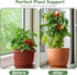 14.6in Set 4p Trellis for Potted Plants, Plant Trellis Indoor, Small Houseplant Trellis for Climbing Plants with Ties