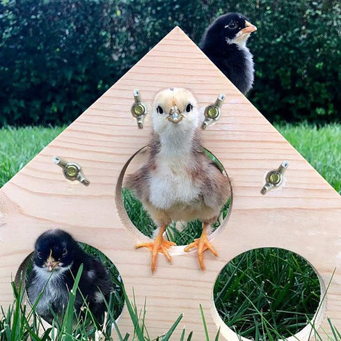 Vehomy Chicken Perch Wood Stand with Holes Chick Stand Trainning Perch Hen Roost bar for Chicks Poultry Swing Chicken