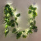 Fielegen 20 LED Monstera Leaf String Lights, Artificial Tropical Palm Leaves Greenery