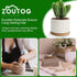 ZOUTOG Mini Succulent Pots, White 3.15 inch Ceramic Flower Planter Pot with Bamboo Tray, Pack of 6 - Plants Not Included
