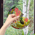 Stained Glass Hummingbird Window Clings, Anti-Collision Decals for Summer Window Decoration