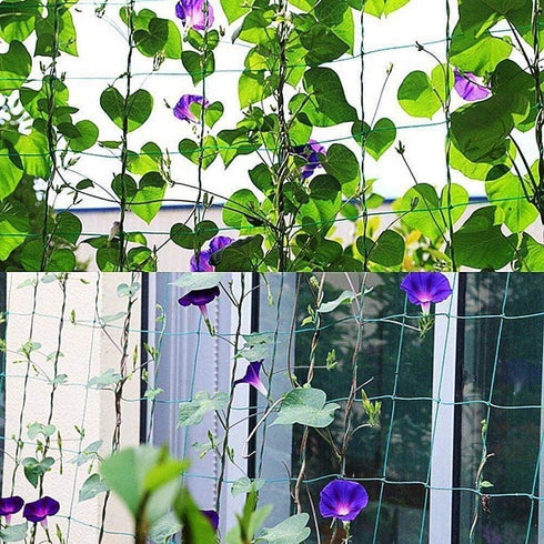 Yahpetes Garden Netting 1 Pcs Heavy Duty Climb Net 6'X6' for Plant Vine Support