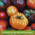 Hillbilly, Sow Right Seeds - Rare Colorful Heirloom Tomato Seed Collection for Planting - Cherokee Green, Black Krim