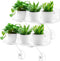 Generic 12 Inch 2 Pack Plant Window Boxes Shelf Sill Suction Cup Planter,