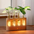 4 Lightalent Rechargeable Plant Propagation Station with Stepless LED Light, Wooden Stand & Propagation Test Tubes