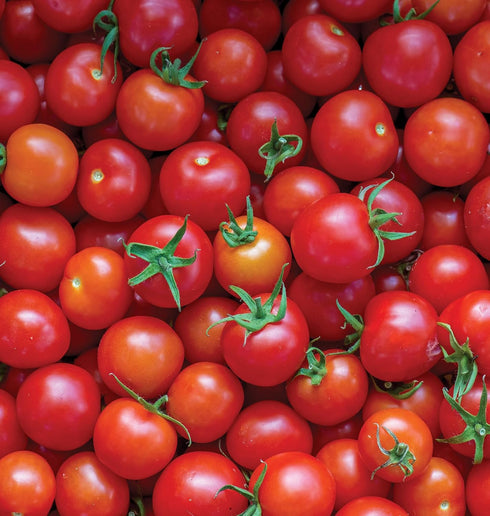 Burpee 'Super Sweet 100' Hybrid, Cherry Tomato, 50 Non-GMO Seeds
