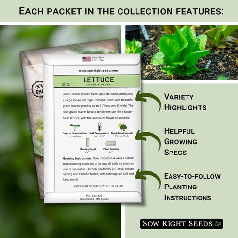 Sow Right Seeds - Large Lettuce Seed Collection for Planting - Buttercrunch, Jericho, Iceberg, Salad Bowl, Little Gem