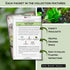 Sow Right Seeds - Large Lettuce Seed Collection for Planting - Buttercrunch, Jericho, Iceberg, Salad Bowl, Little Gem